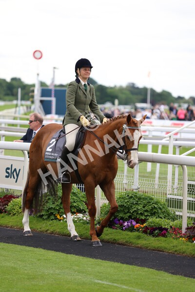 yr22052022r8e-97 - ROR - Parade Ring York
