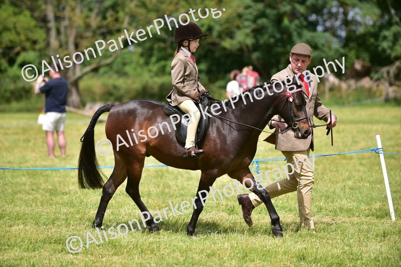 20260614-1374 - Class 11b - Lead Rein Pony (Plaited)