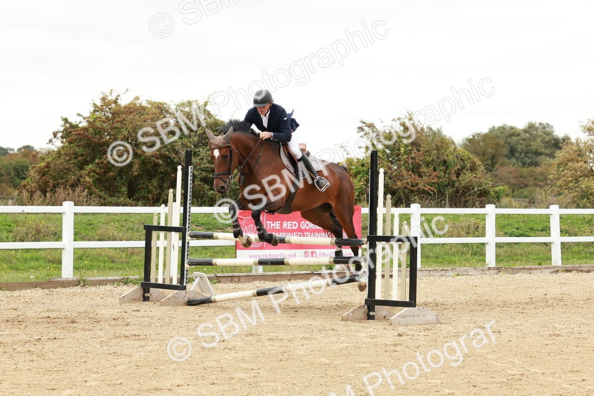 1I0A7117 - Class 2 - Senior British Novice