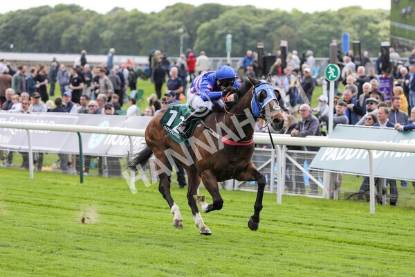 yr12052022r1-21 - Race 1 1.50pm Paddy Power 'Making Flat Less Flat' Stakes