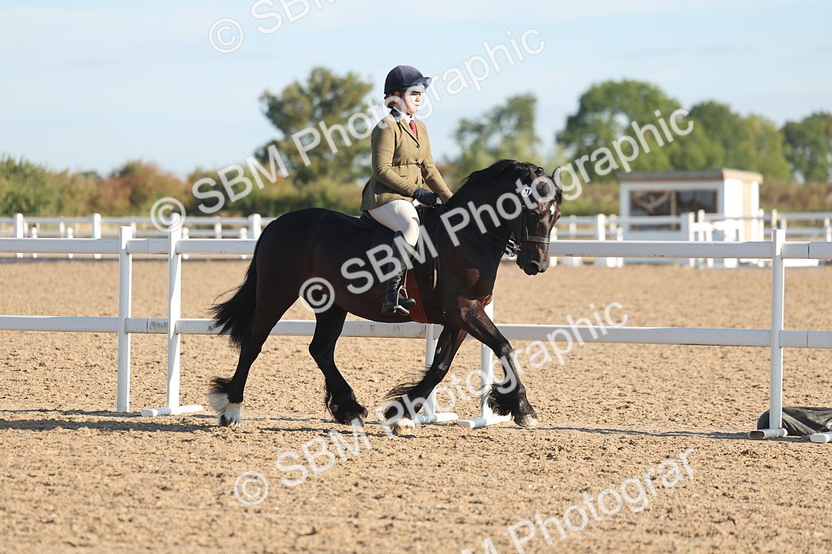 SBM_10958 - Class 302 - Ridden M&M Large Breeds
