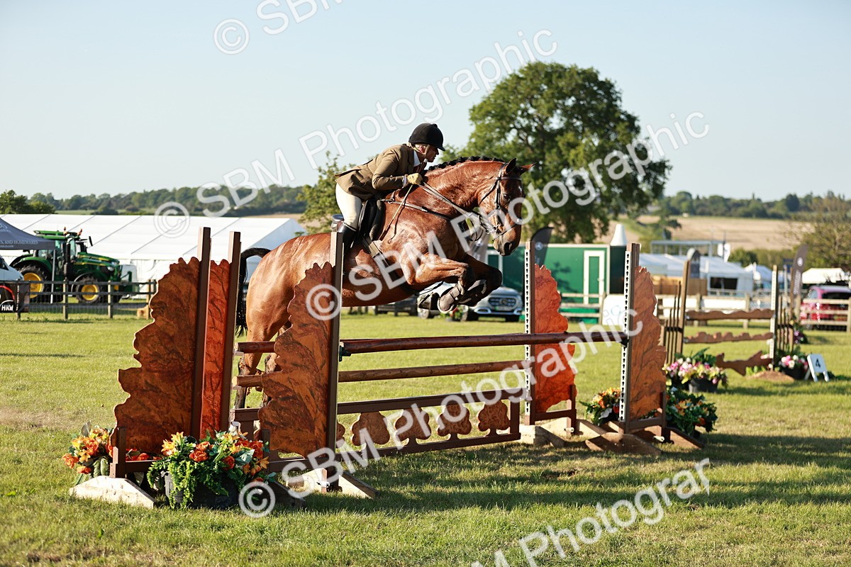 SBM_20385 - Class 117-119 - Sport Horse Working Hunter