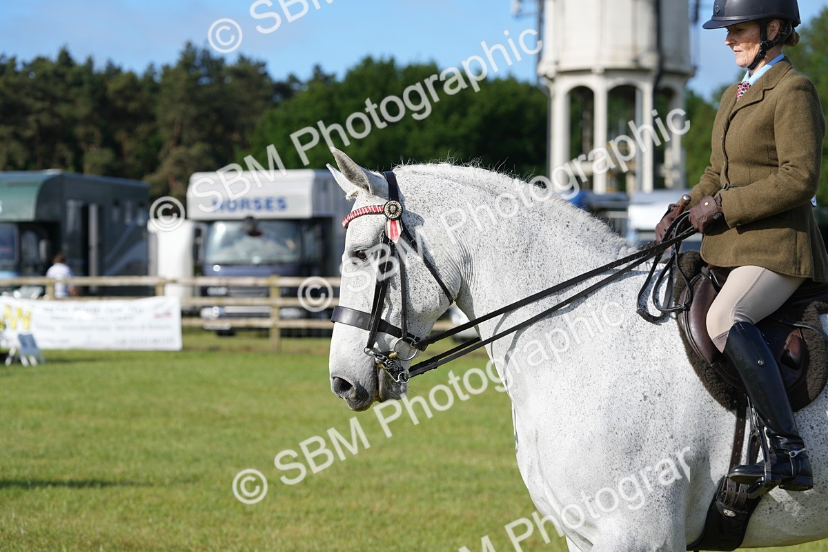 SBM_10545 - Class 97-98 - LIHS BSHA Rising Star Working Show Horse Hunter