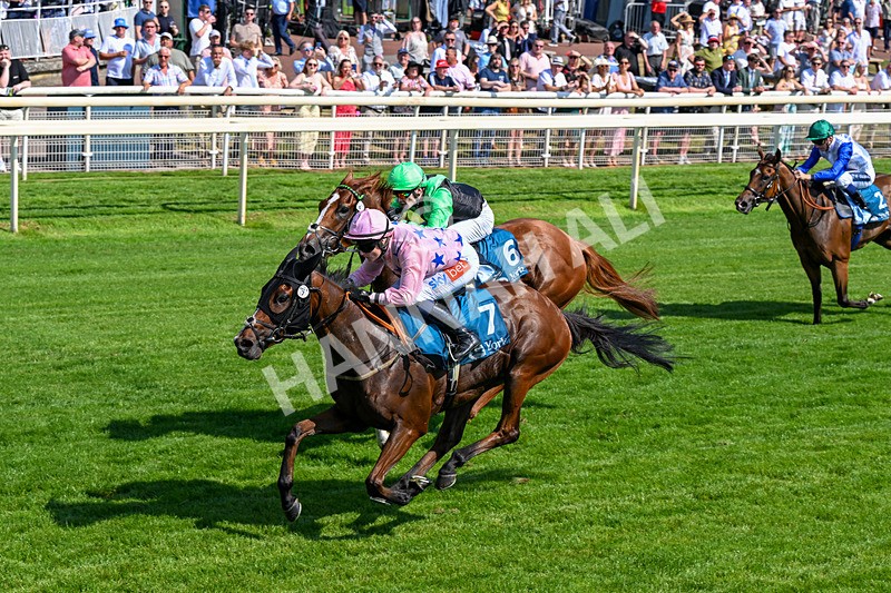 100726-Race 4-Illys Roo-0299 - Race 4 15.55pm Laura Barry Memorial Handicap