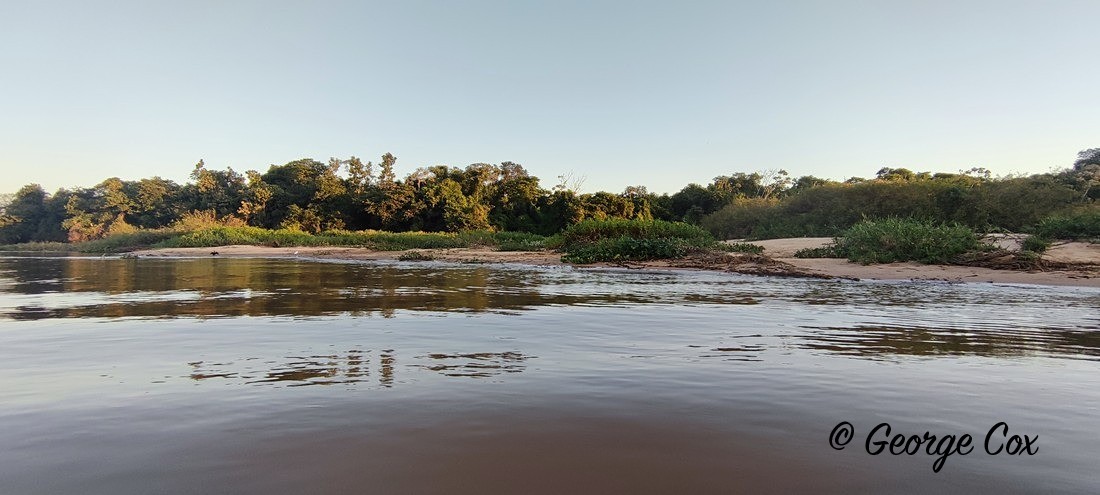 IMG_20220707_170915 - Brazil