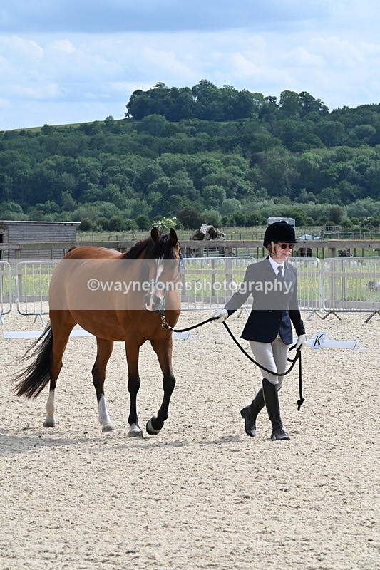 WJ7_8173 - Time 16:10 to 16:25