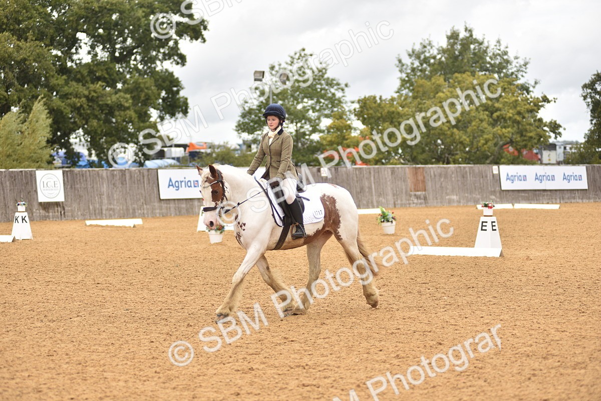 SBM_42344 - D22 - Junior Championship Intro 3