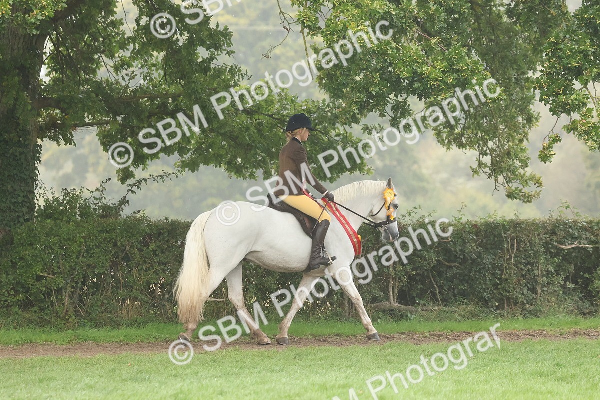 SBM_73194 - Super Supreme Championship(Sun)