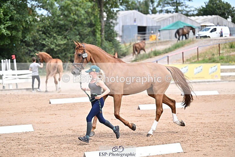 250716-130839-00360 - Trot Up 12.30 to 1.30