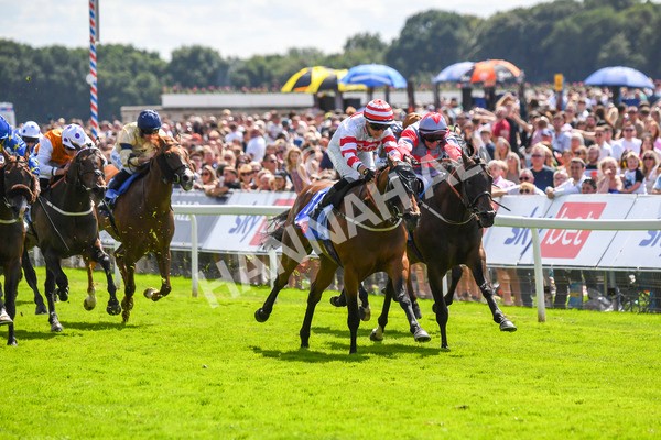 290723-Race 2-Aberama Gold-0433 - Race 2 2.40pm Sky Bet Dash Handicap