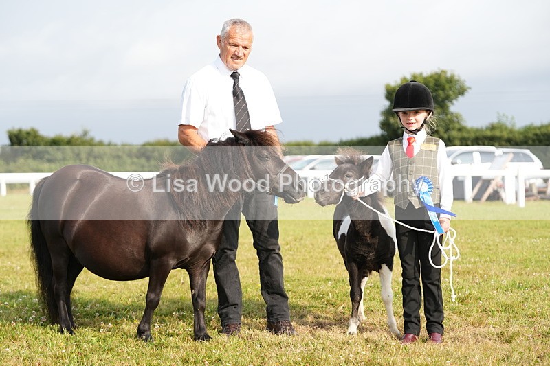 DSC04485 - Classes 44 & 45: NPS M&M Brood Mare and Foal