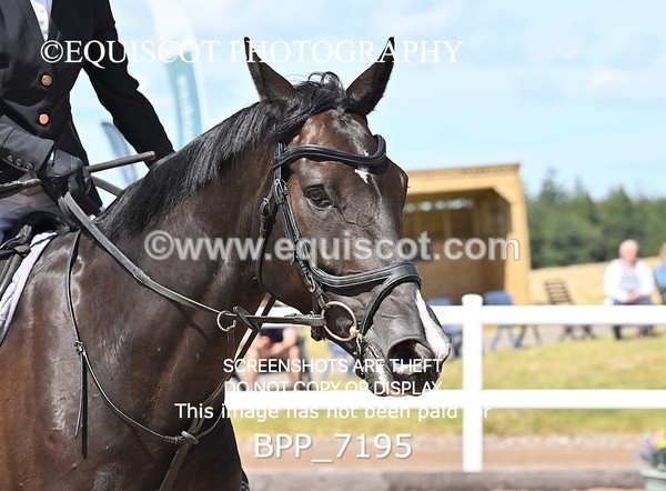 BPP_7195 - CLASS 14 FRI Nupafeeds Senior Dicovery/1m open