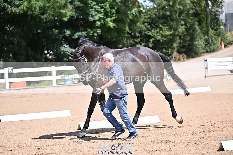 250716-123356-00053 - Trot Up 12.30 to 1.30