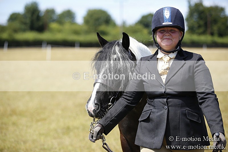 _C7A0016 - BVRC Sow 2018 Ring 2