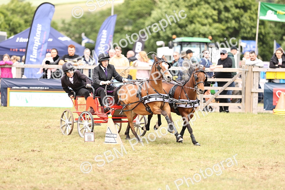 SBM_16095 - Class 91 - Scurry  exceeding 122cms