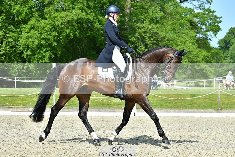 230525-102539-03899 - 412-SAN_SOLO-Imo_Brook-DR