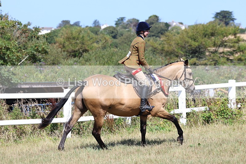 3E7A6500 - Working Hunter Championship