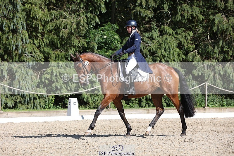 230526-162756-07825 - 171-SLANEYSIDE_COOLEY-Lara_Chapple-WEDTrotUp+DR