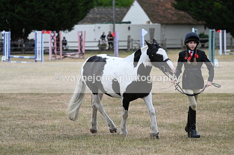 WJ7_8286 - Class 4 Prettiest Mare up to 14.2hh