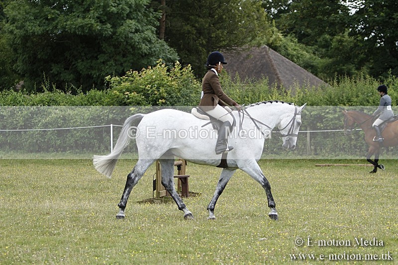 BVR160717-1783 - Ring 3 BVRC Show 16/07/17