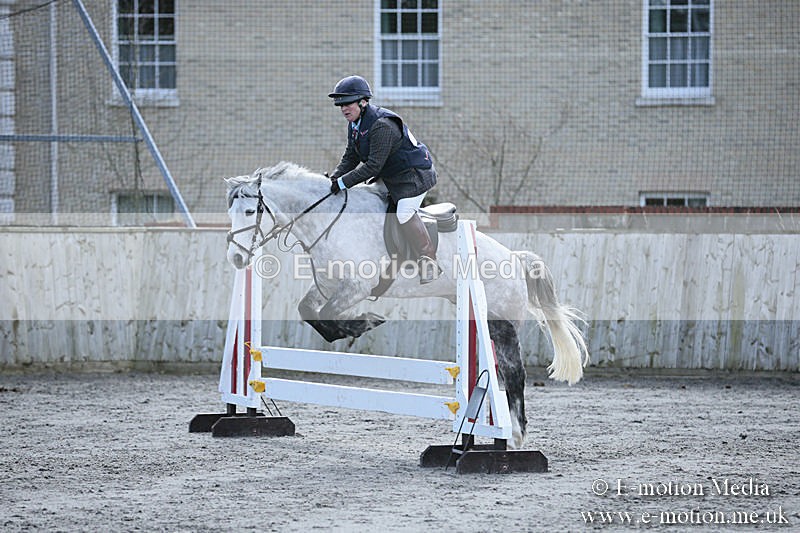 BVRC SJ 170319 291 - Bourne Valley Riding Club Showjumping 17/03/19