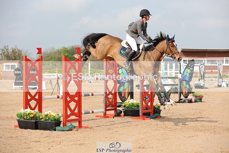 250424-103951-03158 - Cls 33 Young Horse 7yr old