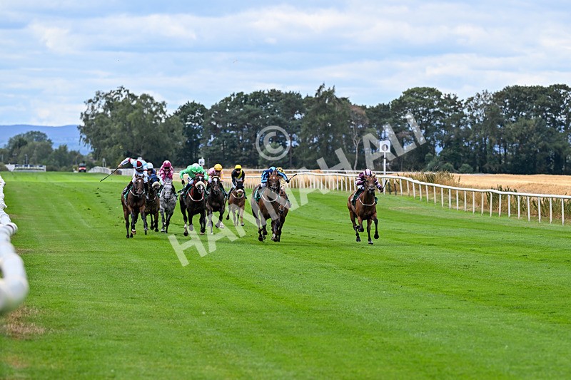 070826-Race 1-Drish Samphire-1321 - Race 1 14.10pm goracing.co.uk Future Stars Apprentice Classified Stakes