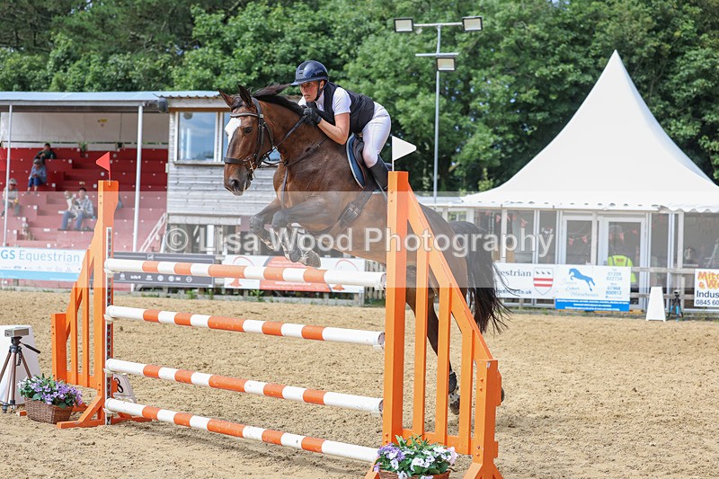 3E7A7598 - Class 9: Senior Foxhunter/1.20 open