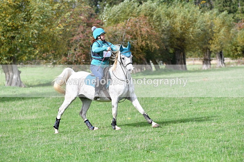 WJ5_9496 - Time 13:03 to 13:25