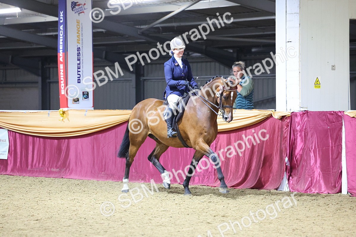 0B8A4460 - Class O Ridden Show Horse Champ