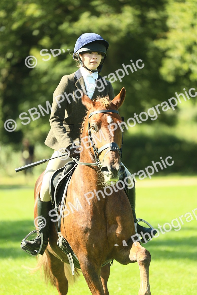 SBM_39167 - S29 - Novice & Newcomers Working Hunter Pony
