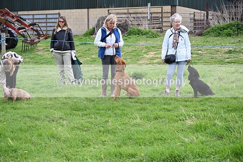 WJ6_8055 - Class 2 Best Pedigree