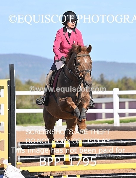 BPP_1795 - CLASS 1 - FRI - KBIS Club Senior 70cms
