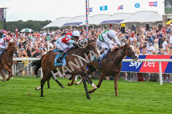 260725-Race 5-Beylerbeyi-7700 - Race 5 3.50pm Sky Bet, For The Fans Handicap