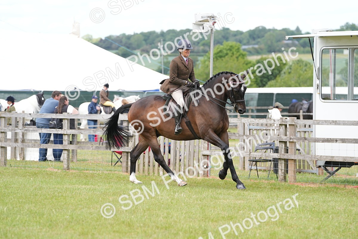 SBM_16244 - Class 105-106 - RIHS Riding Horses
