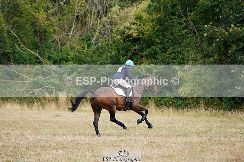 250803A-151104-16454 - O-690-Selina.Milnes-MUSTAFA.MOLASSES