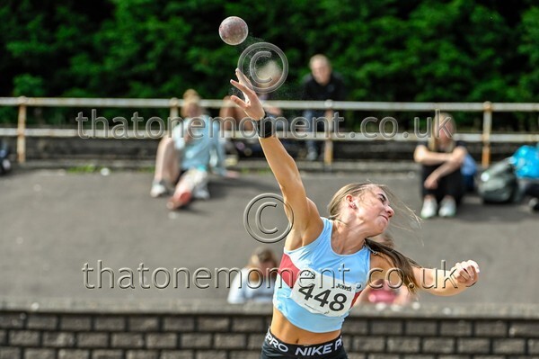 Sen25SUN-928047 - Field Female Set Two