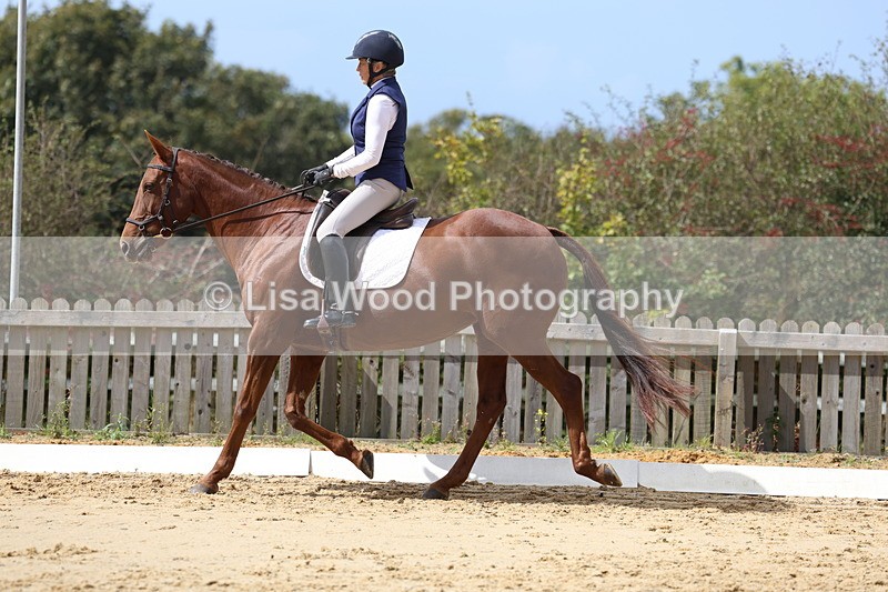 3E7A3970 - Class 9: Novice 6 Section B Championship