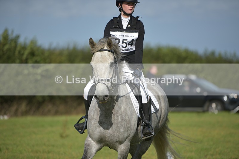 RAY_7363 - Class 2B: Trekenning Open: Dressage