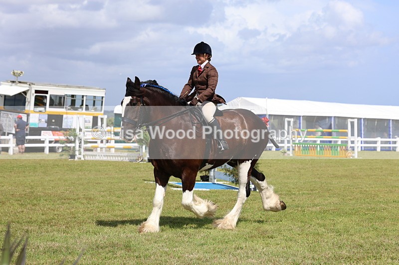 3E7A2884 - Class 13: Heavy Horse Ridden