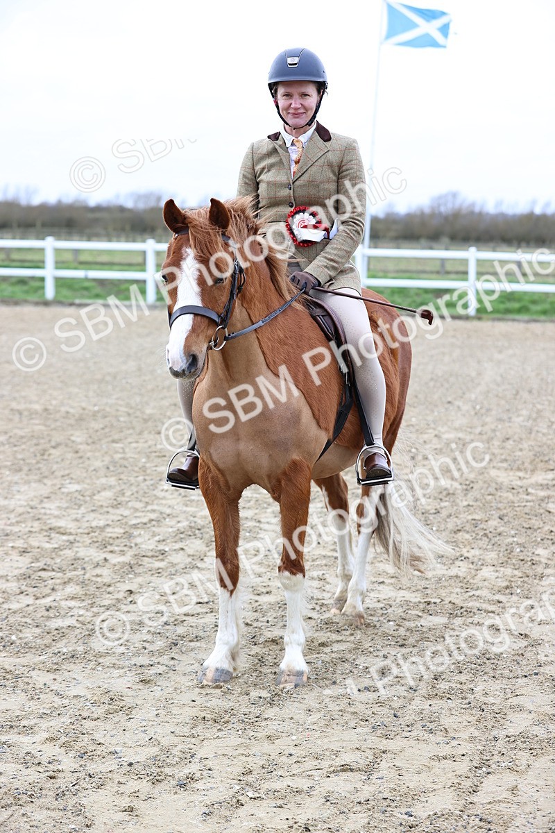 SBM_006861 - Class 29 - 30 - M&M Pure Novice Small-Large Breeds