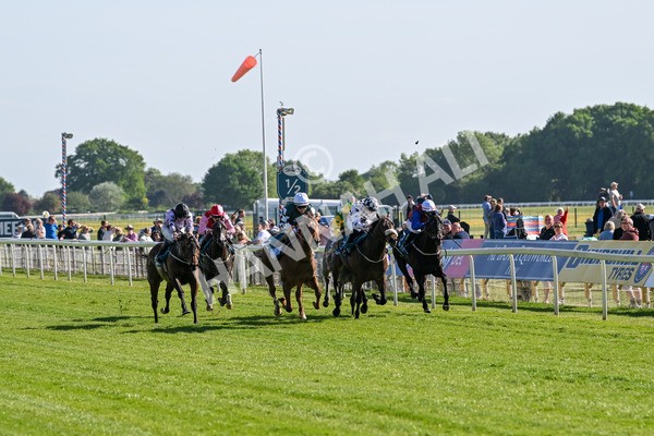 140525-Race 6-Ballistic Missile-2851 - Race 6 4.55pm British Stallion Studs EBF Novice Stakes