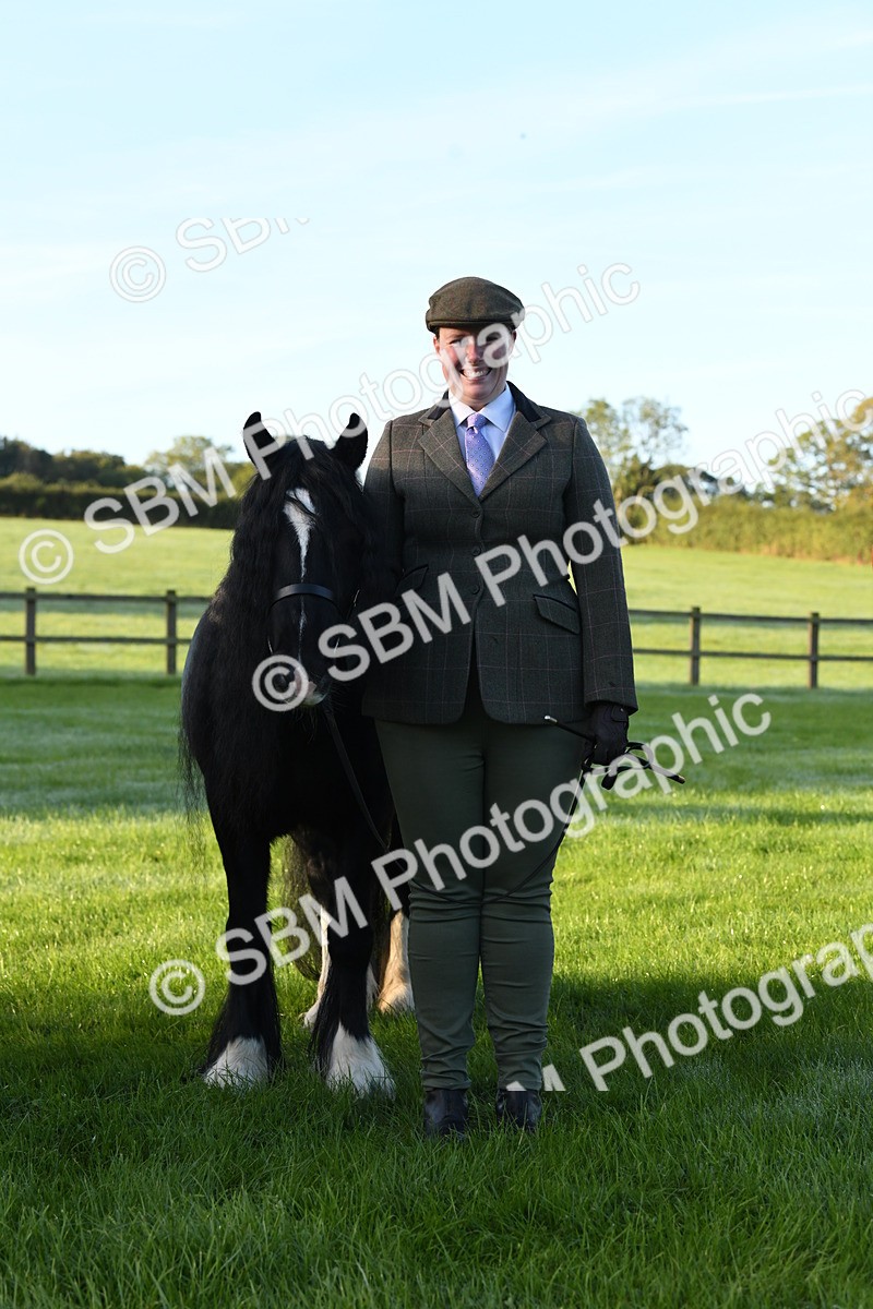 SBM_32658 - S15 - Condition & Turnout In Hand
