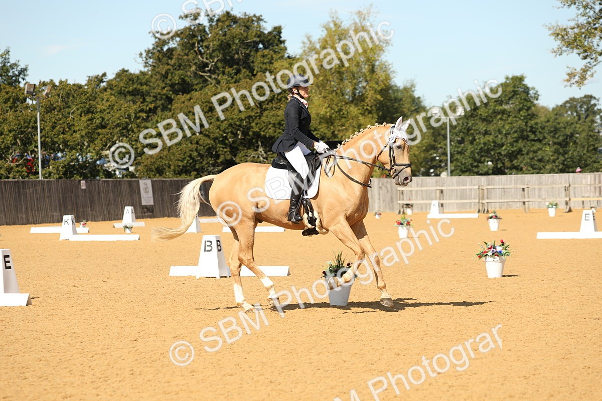 SBM_22317 - D17 - Grand Tour Championship - Novice 27