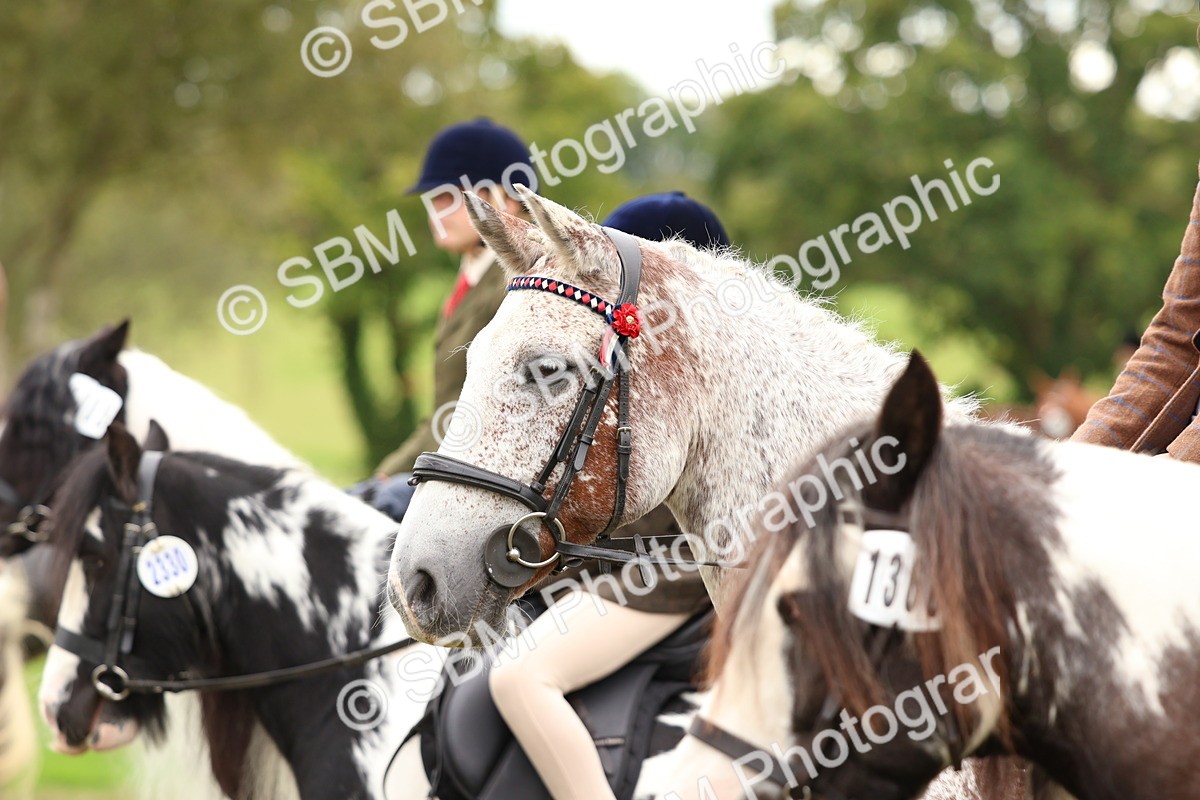 SBM_64623 - S58 - Coloured Pony Ridden