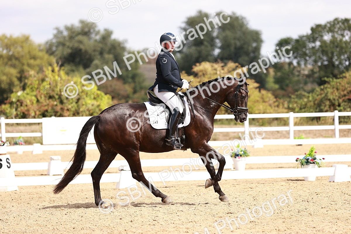 SBM_018540 - Class 17 - Novice 6