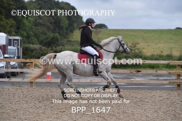 BPP_1647 - DERBY CLASS 4 - 50CM