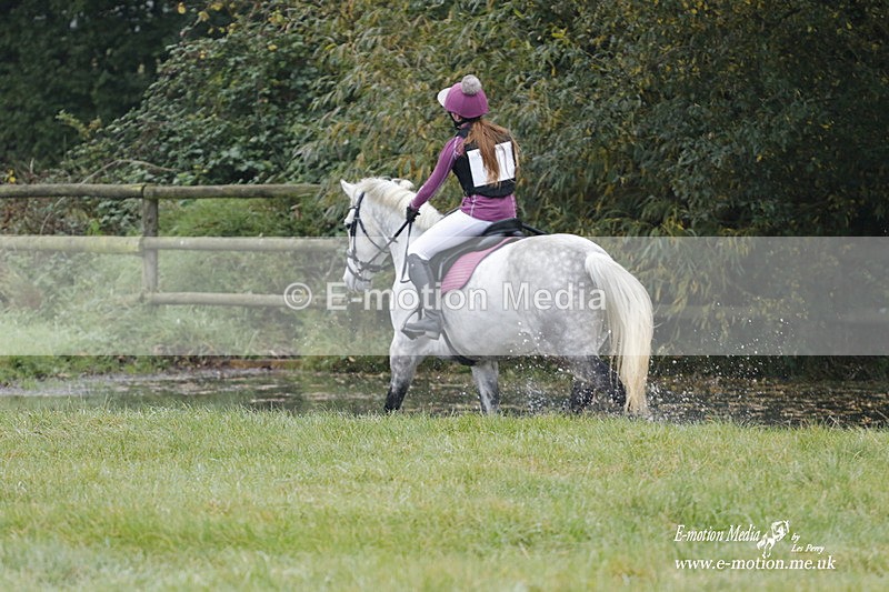 WWHT 171021 0328 - Novice Restricted (0.80m)  17/10/21