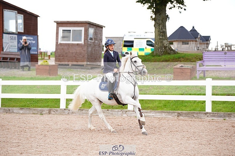 250921-154908-04170 - Cls 31 Stepping Stones