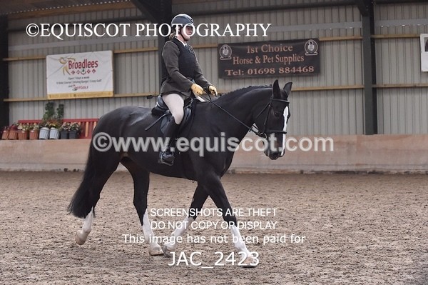 JAC_2423 - CLASS 3 Intermediate Working Hunter